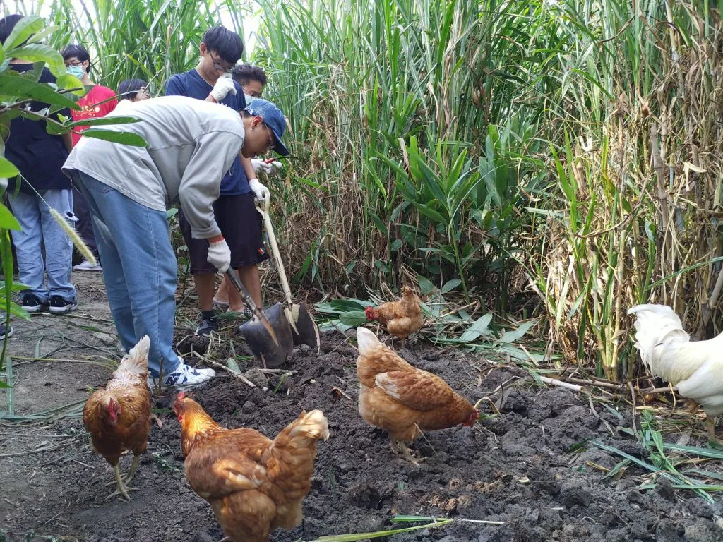 通識教育中心-善盡社會責任面向-子方案(I-1)-110年上半年成果（第 7 張／共 9 張）